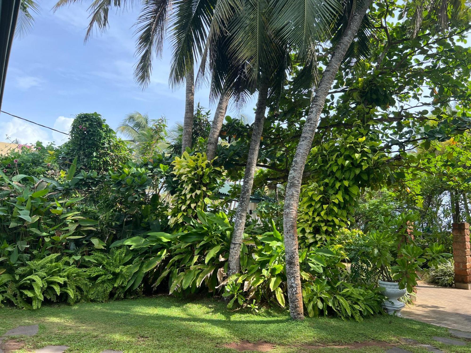 Lohas Beach Resort Villa Kalutara Buitenkant foto