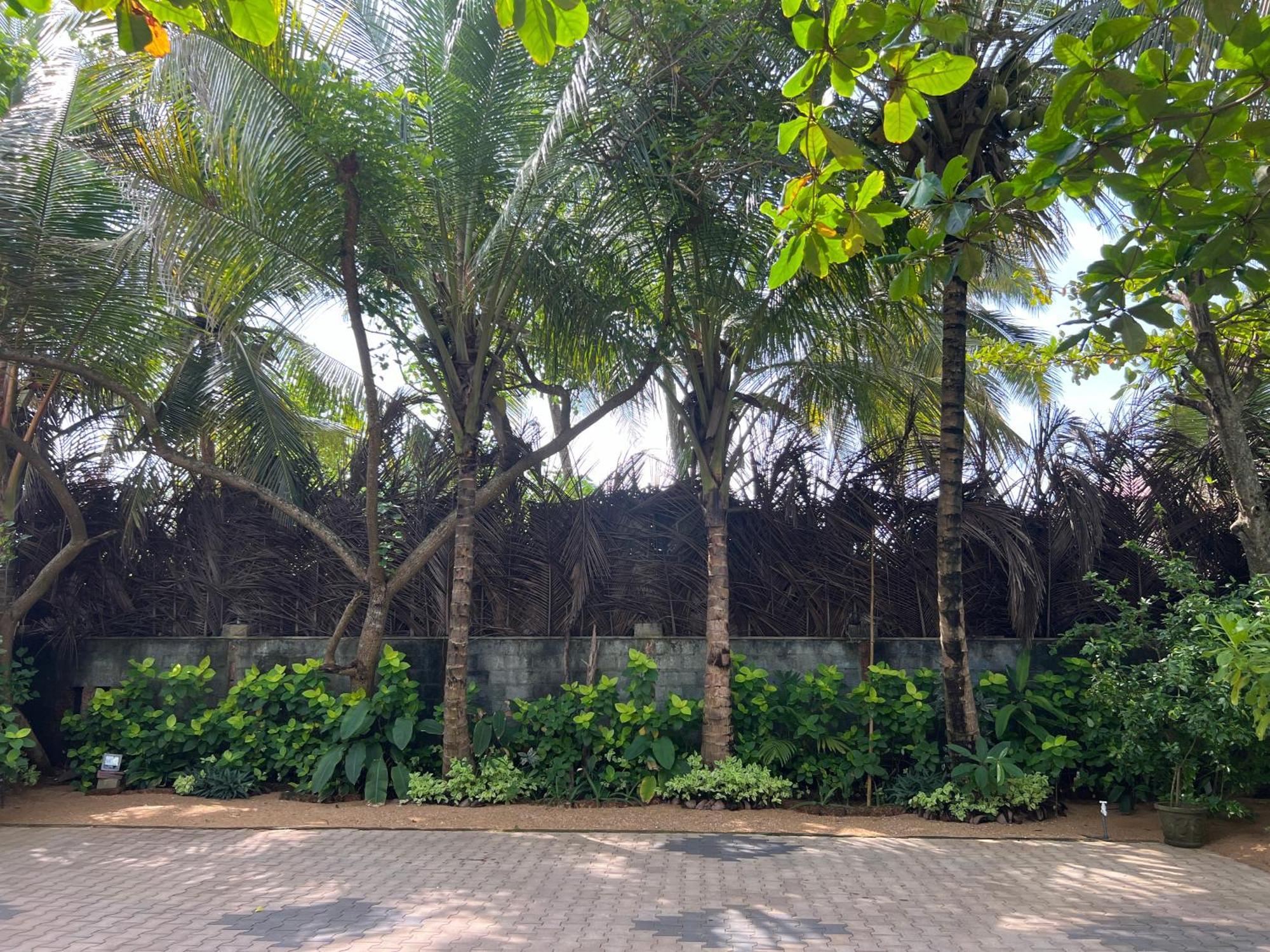 Lohas Beach Resort Villa Kalutara Buitenkant foto