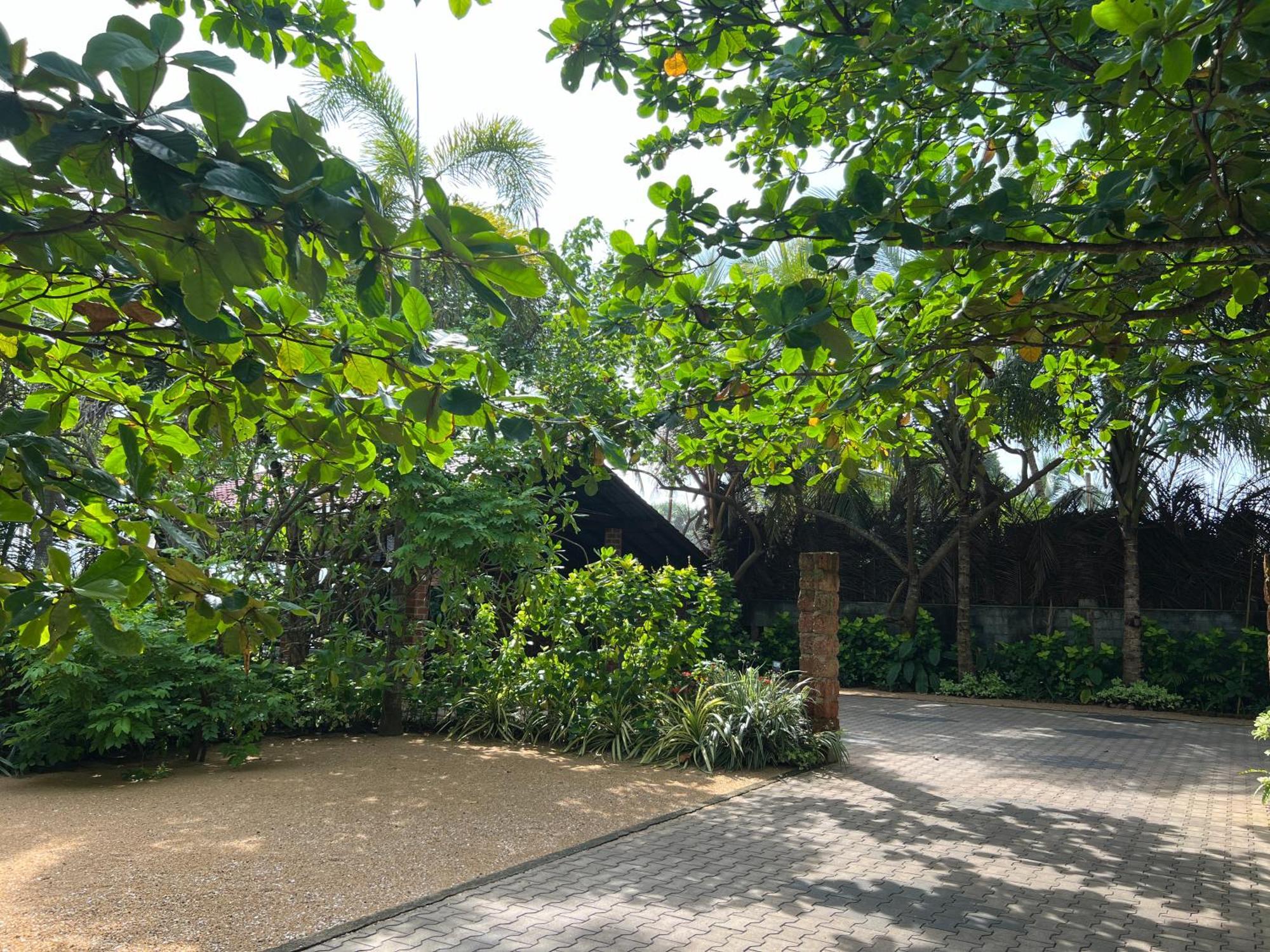 Lohas Beach Resort Villa Kalutara Buitenkant foto